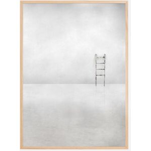 Bildverkstad The Social Ladder Plakat (21x29.7 Cm (A4))