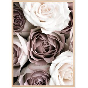 Bildverkstad Roses Plakat (21x29.7 Cm (A4))