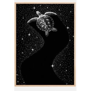 Bildverkstad Starry Turtle  (Black Version) Plakat (21x29.7 Cm (A4))