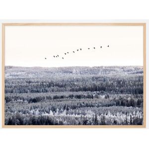 Bildverkstad Follow Me Into The World Plakat (50x70 Cm)