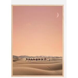 Bildverkstad Eight Camels Plakat (21x29.7 Cm (A4))