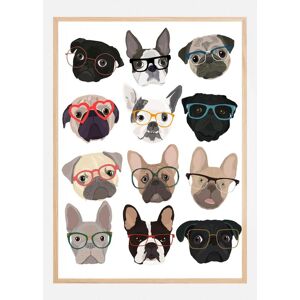 Bildverkstad Pugs In Glasses Plakat (30x40 Cm)