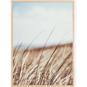 Bildverkstad Dreamy Grass Plakat (50x70 Cm)