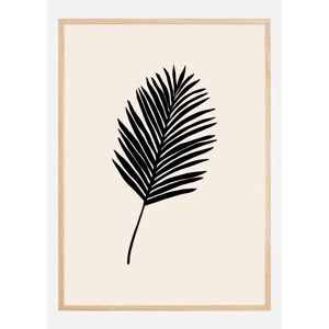 Bildverkstad Black Palm Plakat (50x70 Cm)