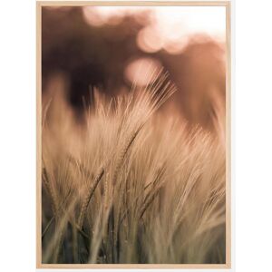 Bildverkstad Wheat Fields I Plakat (21x29.7 Cm (A4))