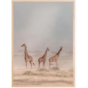 Bildverkstad Weathering The Amboseli Dust Devils Plakat (70x100 Cm)