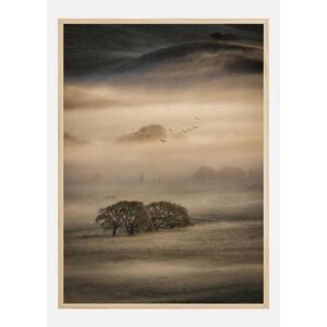 Bildverkstad Morning Fog Plakat (21x29.7 Cm (A4))