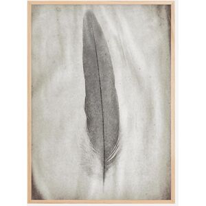 Bildverkstad Aquarelle Feather Plakat (50x70 Cm)