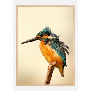 Bildverkstad Bird On Tree Plakat (50x70 Cm)