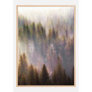 Bildverkstad Misty Mood In The Forest Plakat (21x29.7 Cm (A4))
