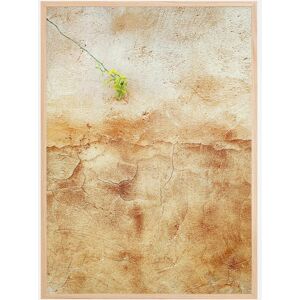 Bildverkstad Cracked Wall Plakat (21x29.7 Cm (A4))