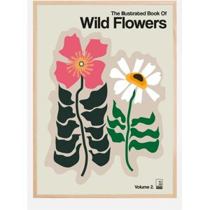 Bildverkstad The Illustrated Book Of Wild Flowers Vol.2 Grey Plakat (50x70 Cm)