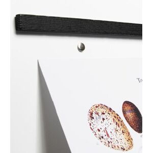 By Wirth Wall Sticks Magnets Black Oak 29,7 Cm