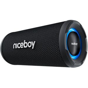 Niceboy RAZE 5 Origin 20W Radio & Bluetooth Højtaler - Sort