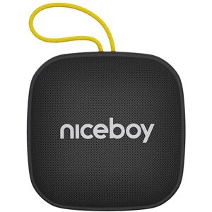 Niceboy RAZE Mini 4 Radio & Bluetooth Højtaler - Sort