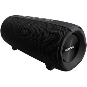 Niceboy Raze 3 Titan 50W Radio & Bluetooth Højtaler - Sort