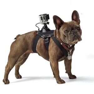 MOBILCOVERS.DK GoPro 1 - 4 Hundesele med Holder - Sort