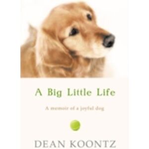 Dean Koontz A Big Little Life