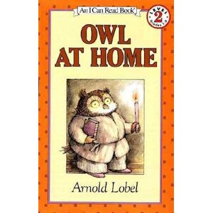 Arnold Lobel Owl At Home