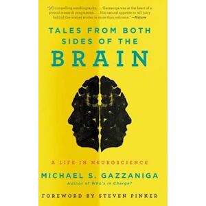 Michael S. Gazzaniga Tales From Both Sides Of The Brain