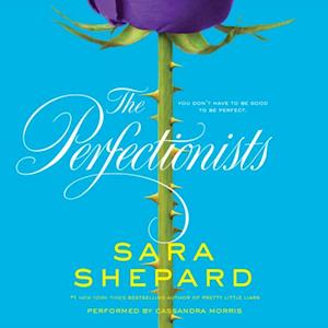 Sara Shepard The Perfectionists