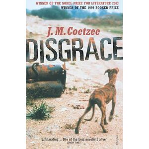 J. M. Coetzee Disgrace