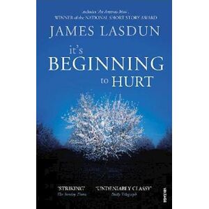 James Lasdun It'S Beginning To Hurt