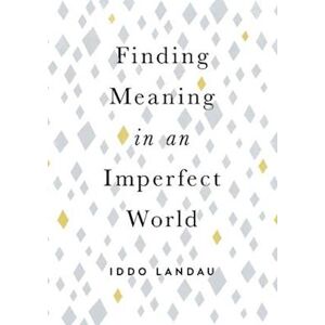 Iddo Landau Finding Meaning In An Imperfect World