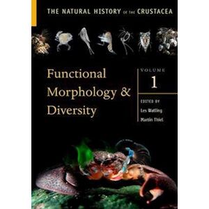 Functional Morphology And Diversity