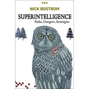 Nick Bostrom Superintelligence