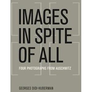 Georges Didi-Huberman Images In Spite Of All