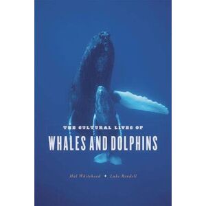 Hal Whitehead The Cultural Lives Of Whales And Dolphins