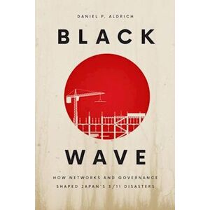 Daniel P. Aldrich Black Wave