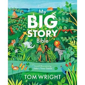 Tom Wright My Big Story Bible