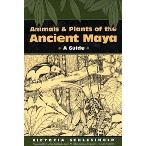 Victoria Schlesinger Animals And Plants Of The Ancient Maya