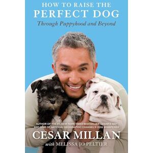 Cesar Millan How To Raise The Perfect Dog