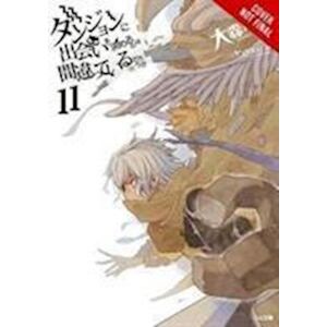 Fujino Omori Is It Wrong To Try To Pick Up Girls In A Dungeon?, Vol. 11 (Light Novel)