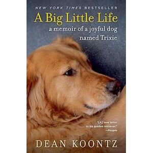 Dean Koontz A Big Little Life