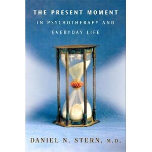 Daniel N. Stern The Present Moment In Psychotherapy And Everyday Life