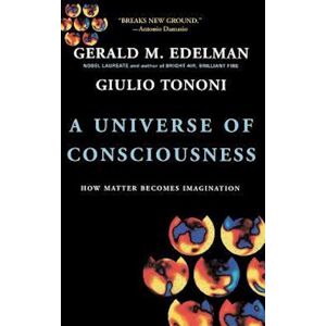 Giulio Tononi A Universe Of Consciousness How Matter Becomes Imagination