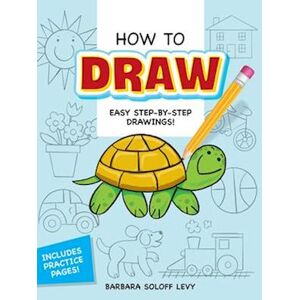 Barbara Soloff Levy How To Draw