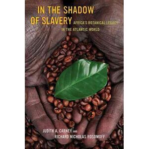 Judith Carney In The Shadow Of Slavery