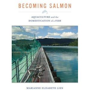 Marianne Elisabeth Lien Becoming Salmon