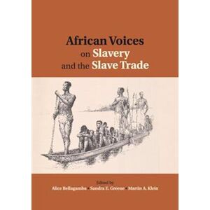 African Voices On Slavery And The Slave Trade: Volume 2, Essays On Sources And Methods