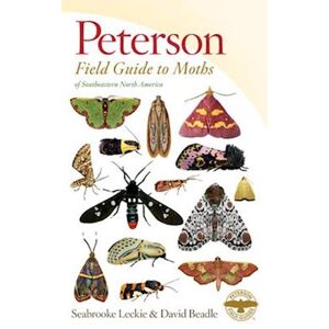 David Beadle Peterson Field Guide To Moths Of Southeastern North America