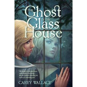 Carey Wallace Ghost In The Glass House