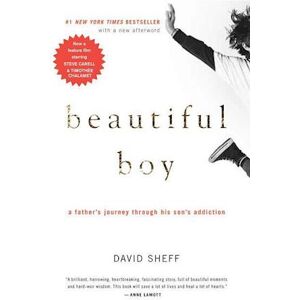 David Sheff Beautiful Boy: A Father'S Journey Through His Son'S Addiction