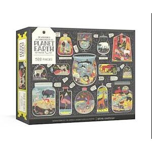 Rachel Ignotofsky The Wondrous Workings Of Planet Earth Puzzle. 500 Pieces