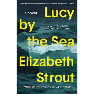 Elizabeth Strout Lucy By The Sea