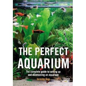 Jeremy Gay The Perfect Aquarium